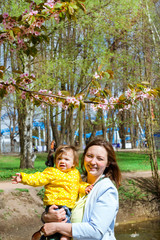 Young woman with a child in her arms happy Sakura blossom in spring Park. Joy of motherhood and child development. Cherry blossom tree in late spring. Flora of North-West of Russia, Saint-Petersburg