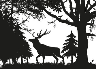 Hirsch im dunklen Wald