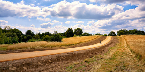 Fototapeta na wymiar New bike path winds through a cornfield under clear blue sky with clouds. germany