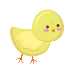 cute chicken animal isolated icon