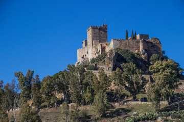 Fototapeta na wymiar Castillo de Luna