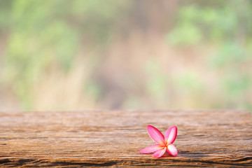 Fototapeta na wymiar Pink frangipani on brown wooden table at outside 