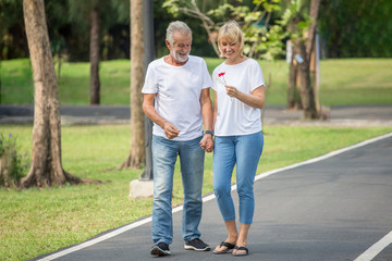 Happy senior loving couple relaxing at park walking with flower together in morning time. old people holding hand and enjoying spending time .Elderly resting .mature relationships.  family , romantic