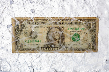 dollar in ice