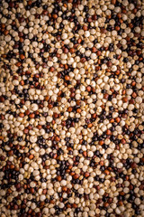 Quinoa Grains Organic Theme Background