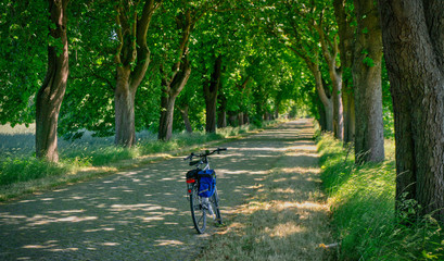 Fototapete bei efototapeten.de bestellen   
