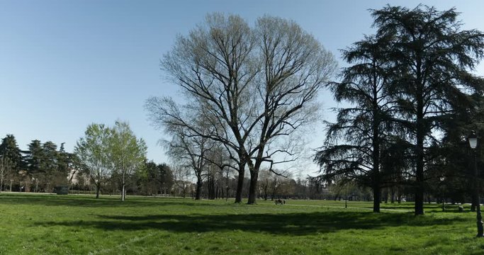 Alberi e piante al parco