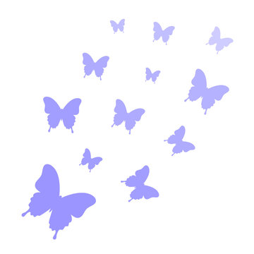 Butterflies isolated on white background. Butterflies trail. Butterfly background. Vector