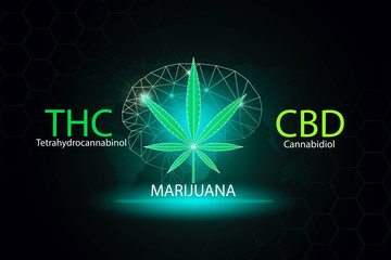 Cannabidiol CBD marijuana  extract Have medicinal properties background concept