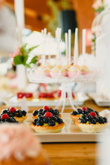 Red fruits on puff pastry tartlets, colorful and well focused.