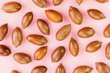 Not cleaned pecan nuts in the shell on pink background.