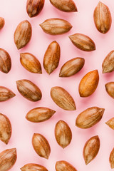 Not cleaned pecan nuts in the shell on pink background.