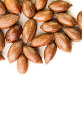 Not cleaned pecan nuts in the shell isolated on white.