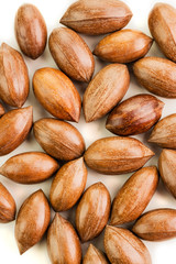 Not cleaned pecan nuts in the shell isolated on white.