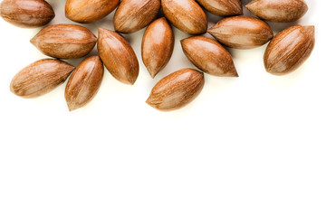 Not cleaned pecan nuts in the shell isolated on white.