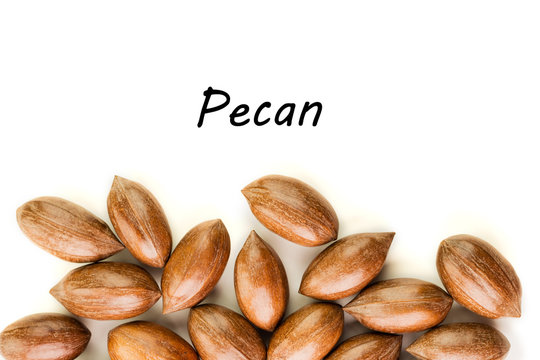Not cleaned pecan nuts in the shell isolated on white.