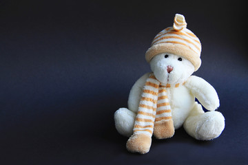 white toy bear in hat and scarf on a black background
