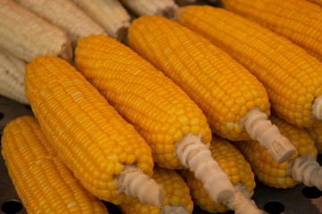 heap of yellow sweet corn background