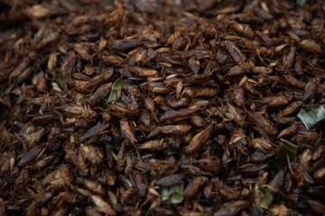 heap of insect fried snack , thai street food .