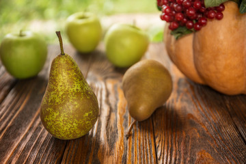 Apples of a pear, Pumpkin, viburnum, cones, nuts, acorns, chestnuts on a wooden background. Autumn composition by own hands