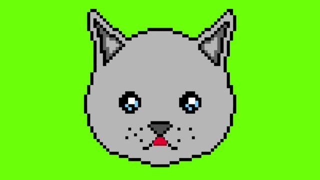 The pixel cat moves with his eyes and shows the tongue on a green screen . Ready to use in any project.