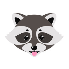 Cute raccoon showing tongue
