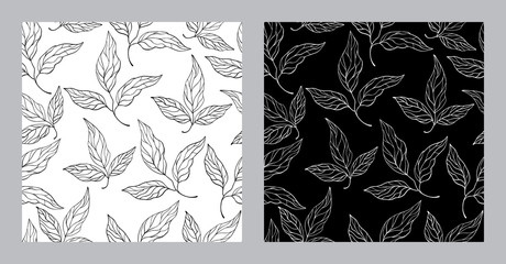 vector seamless pattern with hand drawing leaves on black and white background