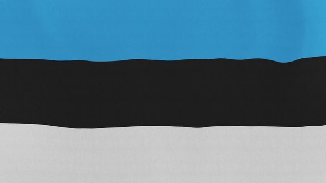 Loopable: Flag of Estonia...Estonian official flag gently waving in the wind. Highly detailed fabric texture for 4K resolution. 15 seconds loop.
