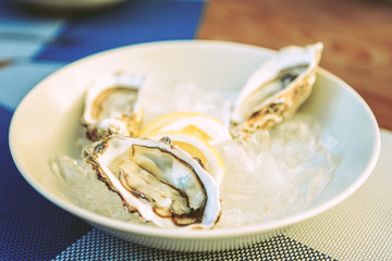 Couple of fresh oysters placed on white ceramic plate