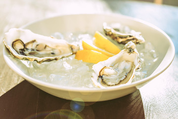 Three opened oysters lying on ice cubes in cold state