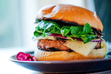 Homemade cheese burger