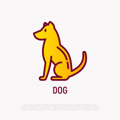 Cartoon dog thin line icon. Modern vector illustration for Chinese horoscope.