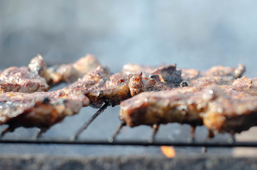 Pork steak on a fire grill
