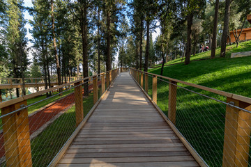 a wooden path in a park