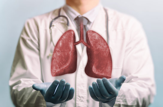 Image of a doctor in a white coat and lungs above his hands. Concept of healthy lungs.