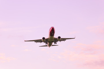 A large passenger plane takes off against a pink sky