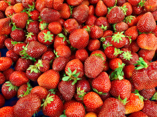 Fresh Strawberries Background