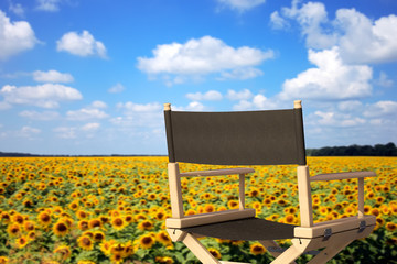 Cinema Directors Chair in front of Sunflowers Field. 3d Rendering