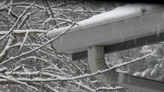 snow falling in worn house gutter near tree