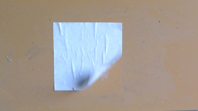 Glued sheet of paper in the wind.