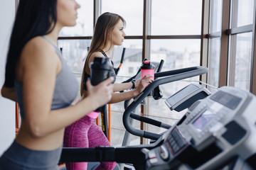 Fototapeta premium Girls in the gym are trained on treadmills and drink water, smiling