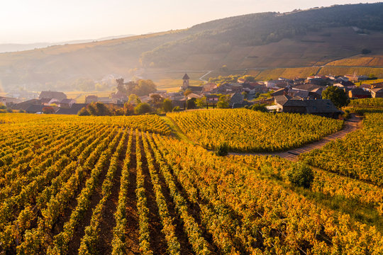 View of vineyard with village houses during sunrise