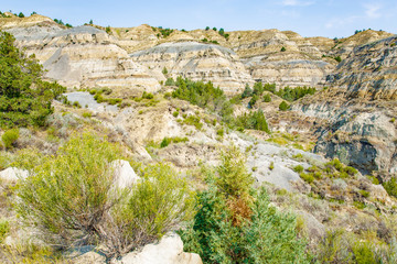 Theodore Roosevelt National Park in North Dakota, USA
