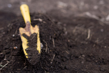 shovel, scoop for digging, yellow, rusty, full of fresh land for planting vegetables, gardening, agriculture, work, environment, garden, spring, Italy