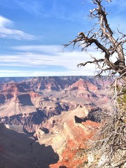 The Grand Canyon in Arizona, United States