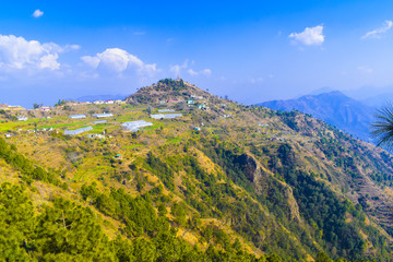 Fototapeta na wymiar Dharo ki dhar village at solan in india