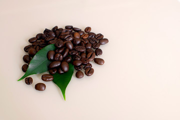 Coffee beans with leaf on light background.