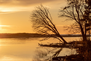 sunset at the river