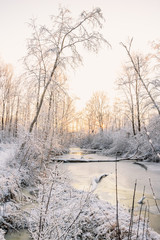 winter landscape with a river and trees