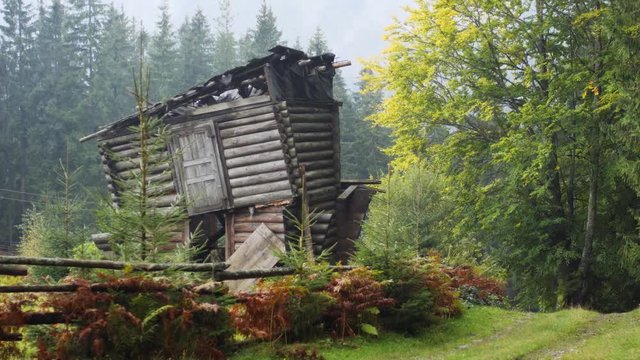 Decrepit old outbuilding stands in a rural pasture, alongside an unpaved road